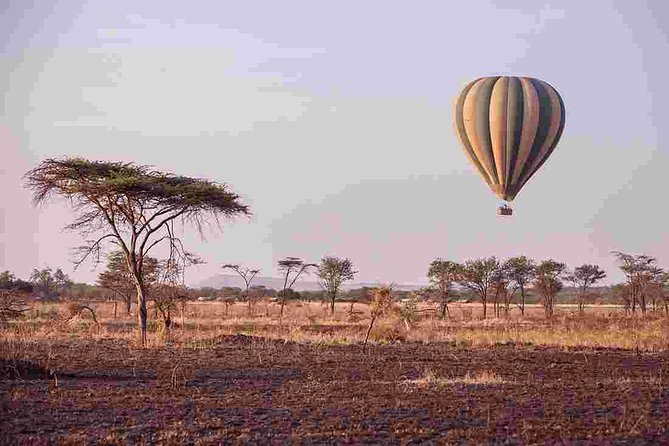 6 Days Join Group Safari Serengeti,Ngorongoro, Lake Manyara, Tarangire, Arusha - Pickup and Meeting Details
