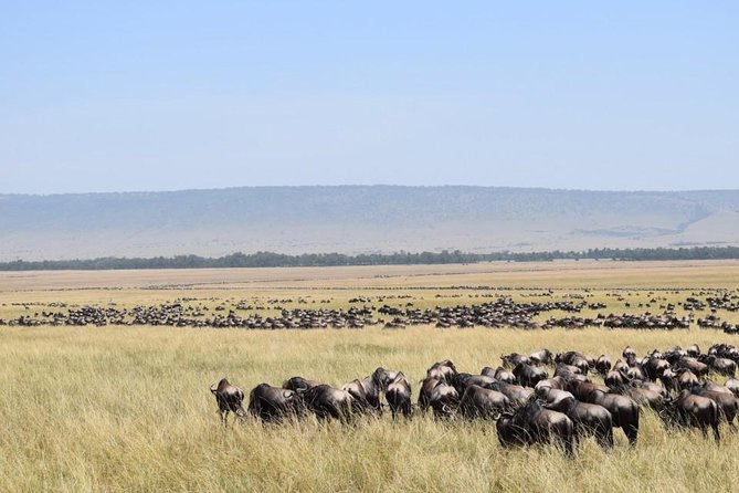 6 Days Kenya Lodge Safari Packages
