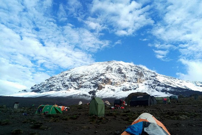 6 Days Machame Route Climbing Mt.Kilimanjaro - Day 2: Machame Gate to Shira Camp