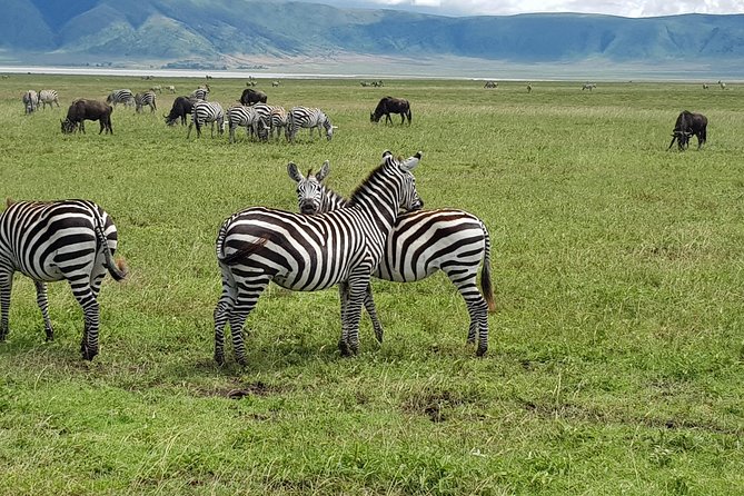 6 Days Mara River Crossing - The Great Migration - Itinerary Highlights
