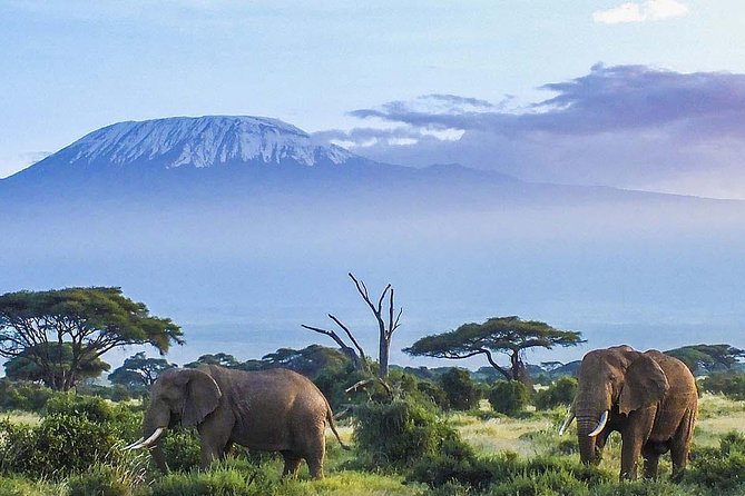 6 Days Mount Kilimanjaro Machame Route Climb - Accommodation Information