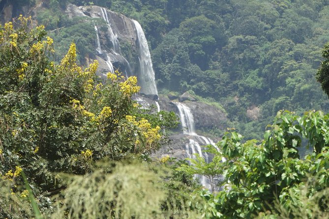 6 Days Safari to Mikumi Np, Udzungwa Mountain NP and Nyerere NP (Selous GR) - Accommodations and Inclusions