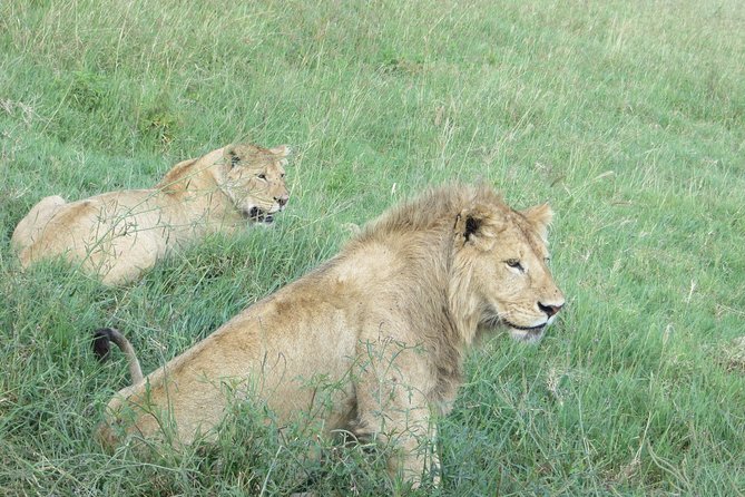 6 Days Serengeti Migration Safari - Accommodation Details