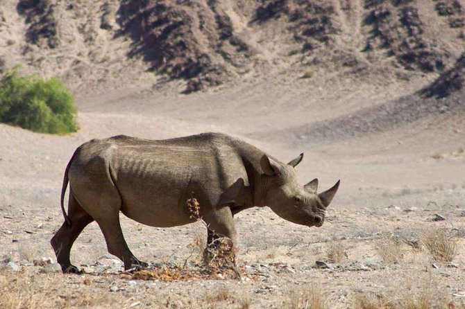 6 Days Sossusvlei, Swakopmund and Etosha National Park Lodging - Meals and Dining Options