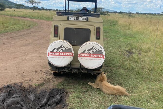 6 Days Tanzania Budget Camping Safari With Migration - Accommodation Details