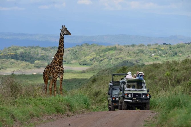 6 Days Tanzania Luxury Safari Tour - Itinerary Highlights