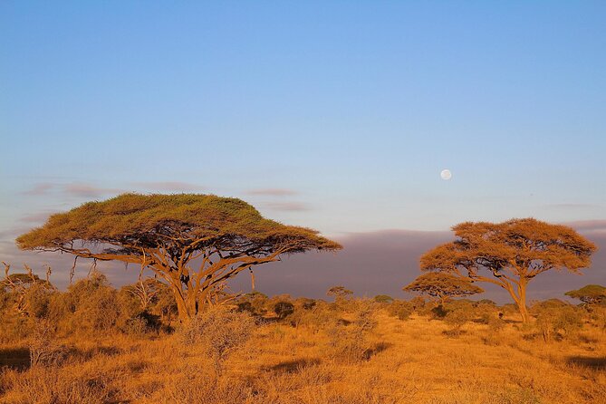 6 Days Tanzania Northern Circuit Safari - Accommodation Details