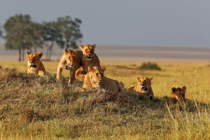 6 Days Tarangire, Lake Manyara, Serengeti & Ngorongoro Crater – Group Join Tour