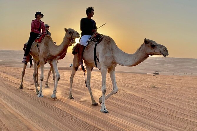 7-8 Hours Private Desert Adventure Trip With Activities - Activity Options