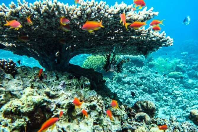 7-Day Private Tour, Jordans Beauty - Inclusions and Exclusions