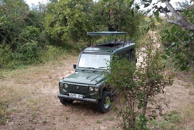 7 Day Safari to Selous, Mikumi and Ruaha National Parks + Transfers - Accommodation Details