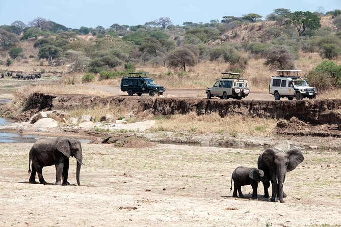 7 Day Tanzania Camping Safari Experience - Day 2: Serengeti National Park