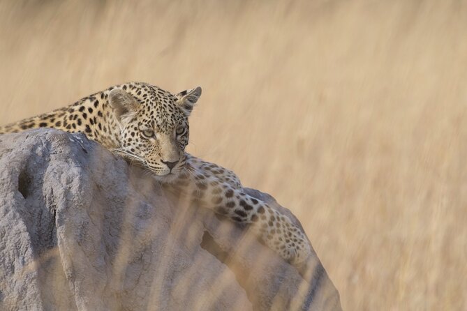 7-Day Tour to Zimbabwe National Parks, Falls & Chobe NP - Accommodation Details