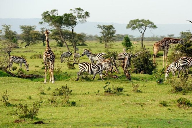 7 Days 6 Night In Southern Of Tanzania