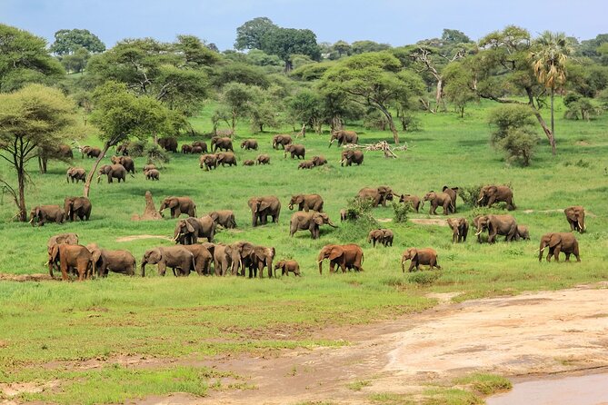 7 Days Cultural and Wildlife Safari - Wildlife Encounters