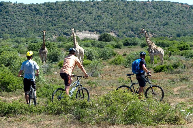 7 Days Kenya Tour Adventure - Tour Itinerary Overview