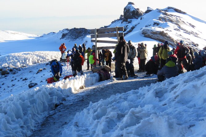 7 Days Machame Route Kilimanjaro Hiking ( Climbing ) Tour - Pricing Information