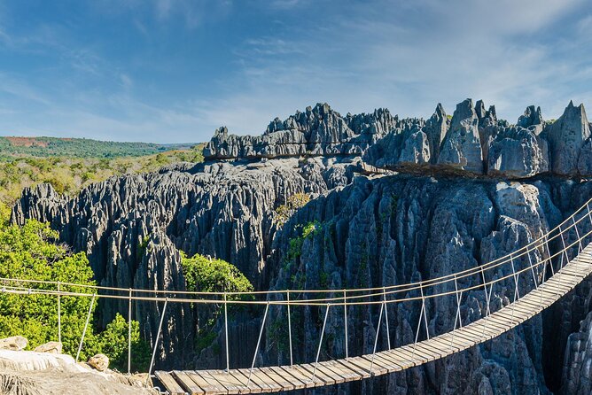 7- Days Private Tour Baobab Safari - What to Expect