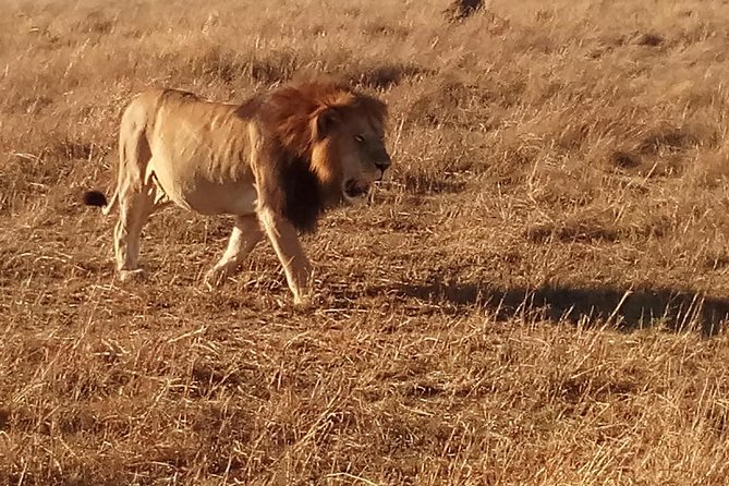 7 Days Safari to Aberdare N/P, Lake Nakuru N/P, Maasai Mara N/R, Amboseli N/P - Accommodation Information