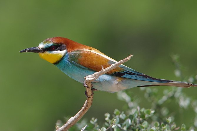 7 Days- Southern Tanzania Camping Safari Experience - Day 2: Safari in Mikumi National Park