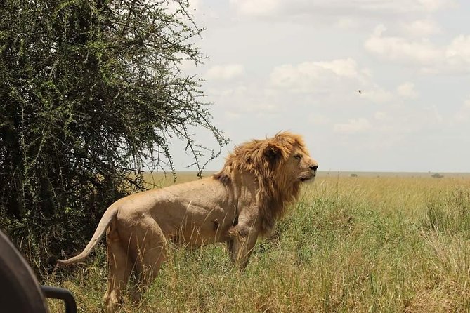 7 Days Tanzania Small Group Safari