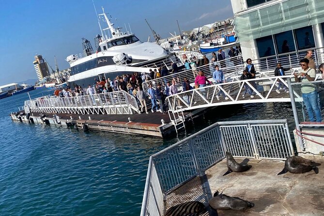 7-Hour Private Guided Tour in Table Mountain and Robben Island - Additional Considerations