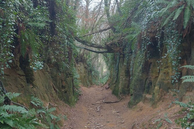 7 Hours Full Day Tour of West Dorset - Historical Landmarks