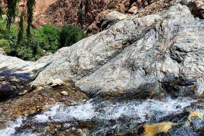 7 Hours Ourika Valley Day Tour From Marrakech - Tour Duration and Location
