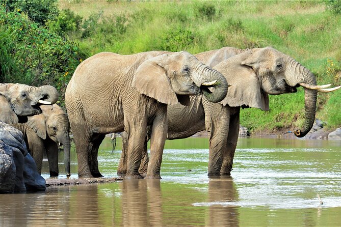 8-Day Cultural Tour and Wildlife Holiday N Kenya - Cultural Experiences