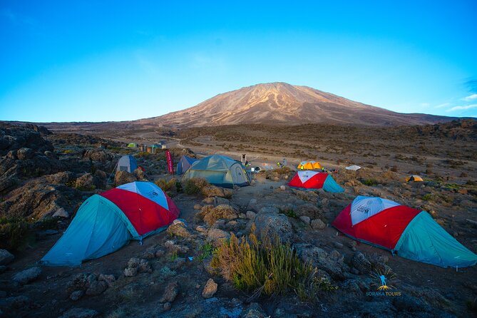 8 Day Kilimanjaro Trek via Lemosho Route - Accommodation and Meals