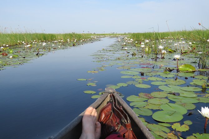 8 Day Okavango Safari - Wilderness Trail (Inner Delta & Moremi) - Accommodation Details