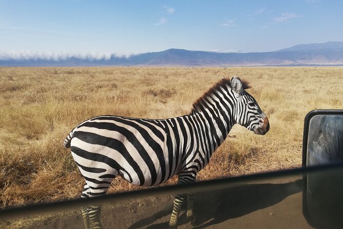 8-Day Private Guided Tanzania Safari With Pick up - Additional Information