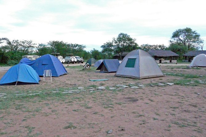 8-Day Small-Group Masai Mara, Manyara , Serengeti and Ngorongoro From Nairobi - Tour Overview