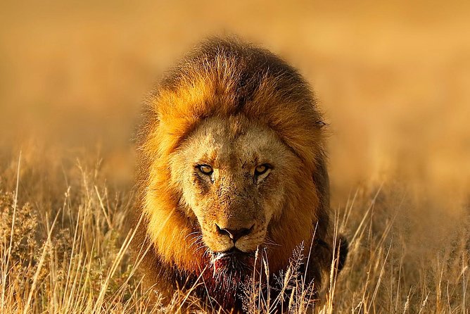 8 Days Combination Tour Zanzibar Beach & Safari Tarangire, Serengeti & Ngorongor
