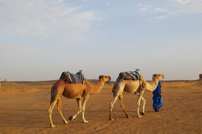 8 Days Imperial Cities - Rabat: Day 2