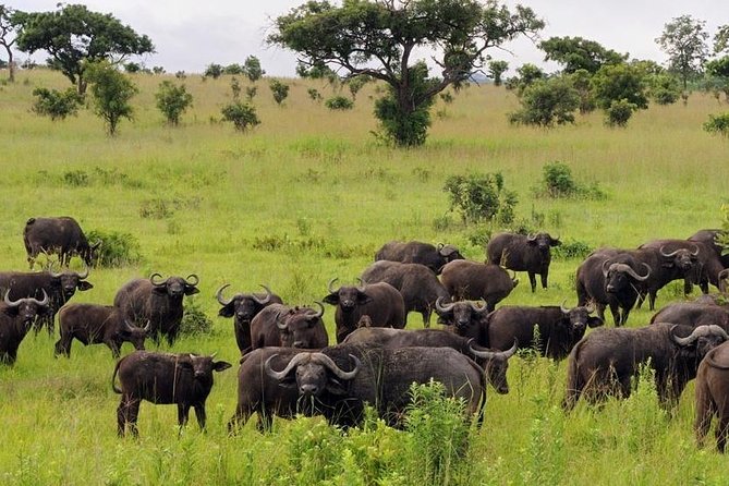 8 Days Itinerary - Duration and Inclusions