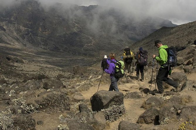 8 Days Kilimanjaro Climbing - Lemosho Route - Climbing Itinerary Details