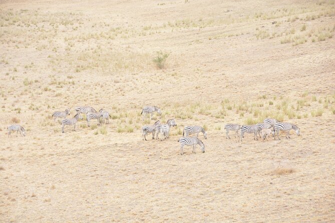 8 Days Private Safari to Southern Circuit Parks of Tanzania - Dining Experiences