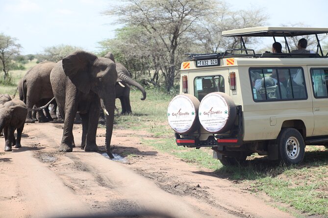 8 Days Private Tour Around Serengeti and Arusha - Inclusions and Exclusions