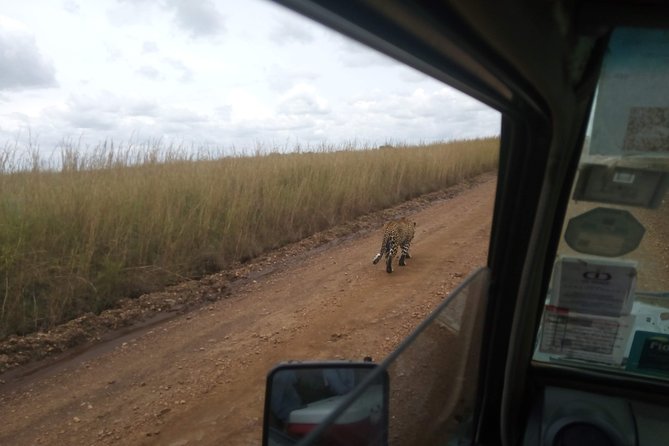 9 Days 8 Nights Safari by Ghalib - Safari Package Details