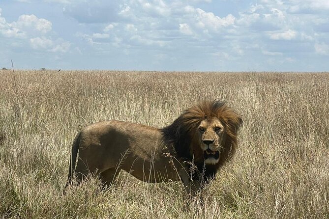 9 Days 8 Nights Walking Safari - Accommodation Information