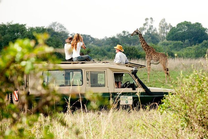9 Days Kenya Classic Lodge Safari - Inclusions and Pickup Details