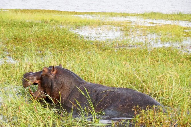 A Chobe Full Day Tour - Botwana - Itinerary Overview
