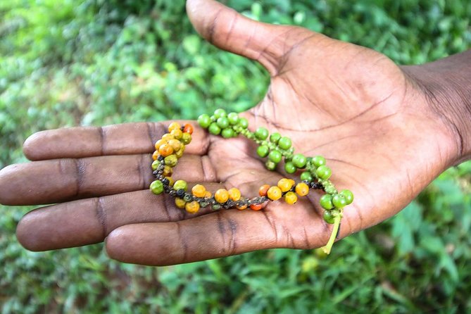 A Half Day Private Tour To Spice Farm - Inclusions and Exclusions