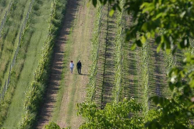A Love and Wine Story in Parma Valley - Inclusions for a Memorable Experience