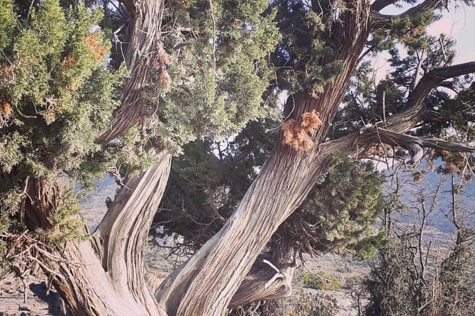 A Mirage In The Mountain - Location Details