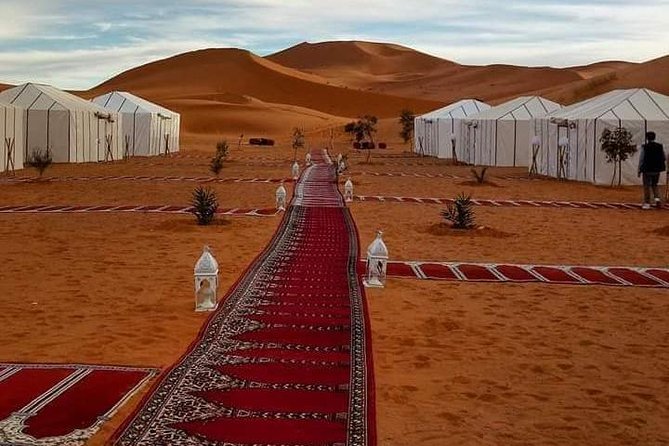 A Taste of Morocco: Casablanca to Marrakech - 7 Days - Day 2: Exploring Rabat and Fes