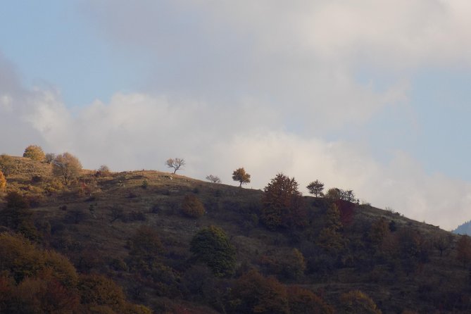 A Walking Over the Jurassic Sea: One Day Trip From Sofia - Inclusions
