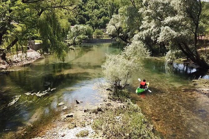 Adventure Kayak on Bunica River: Bbq/Veggie Lunch & Wildlife - Final Thoughts