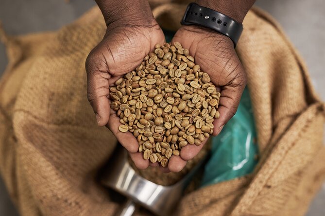 African Origin Coffee and Chocolate Walking Tour - Tour Overview